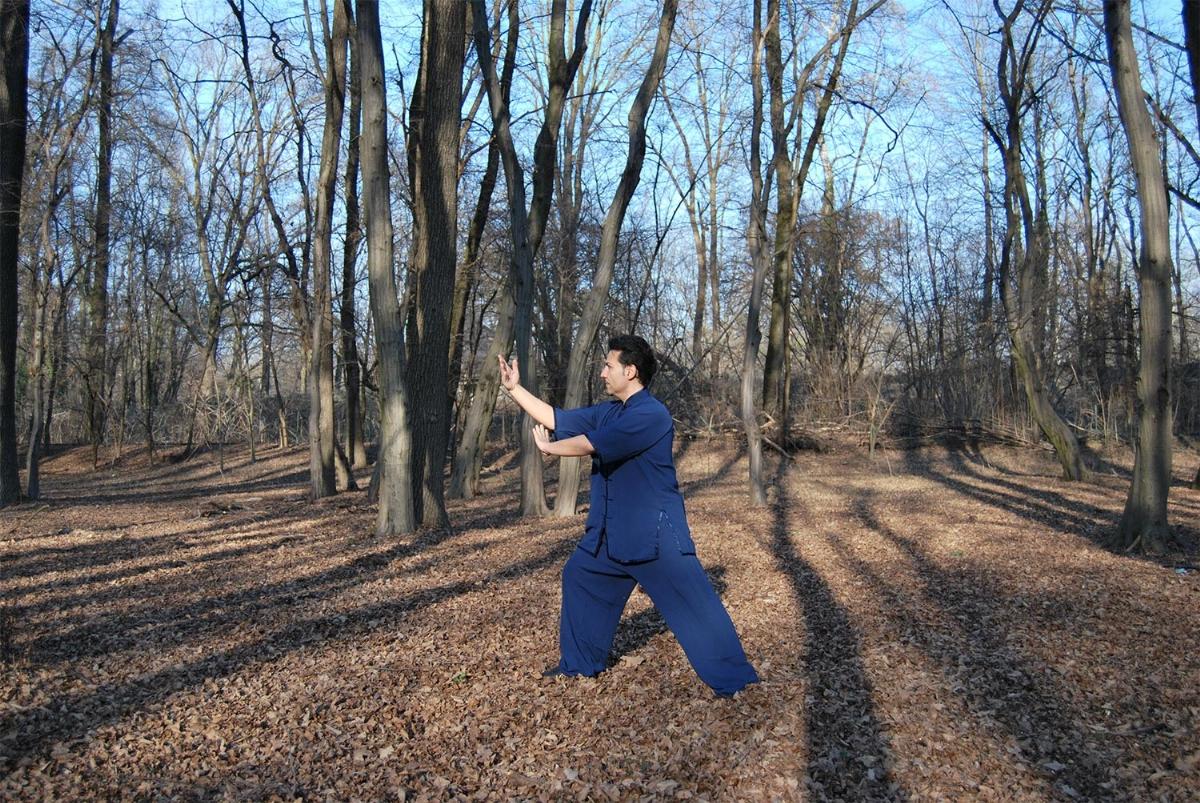 tai chi corsi online marco gamuzza