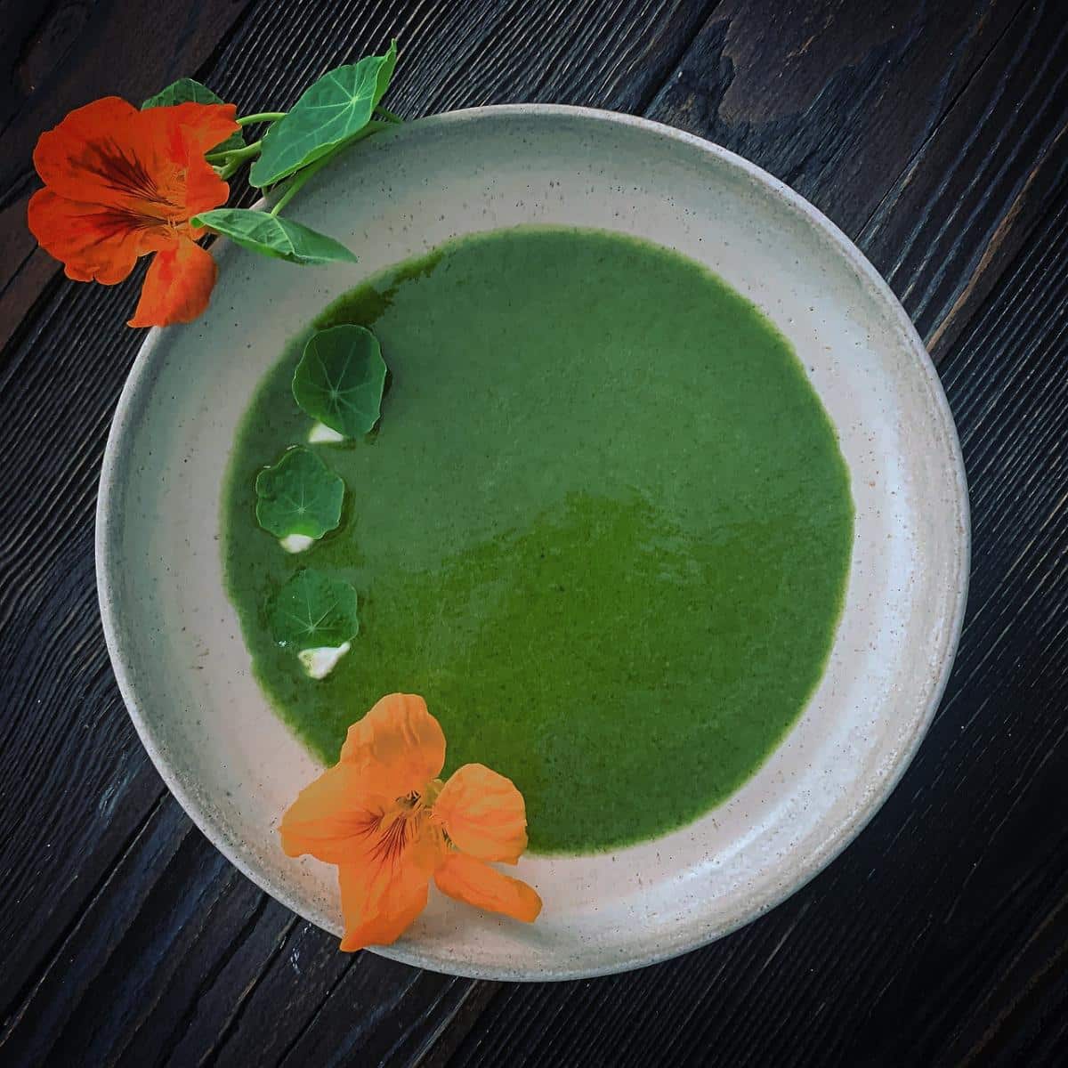 soup chetogenica